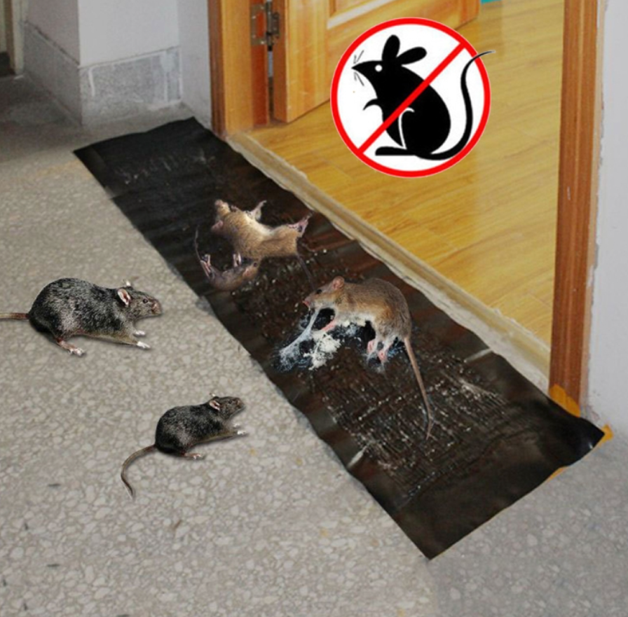 PIÈGE À SOURIS ADHÉSIF SIMPLIFIX